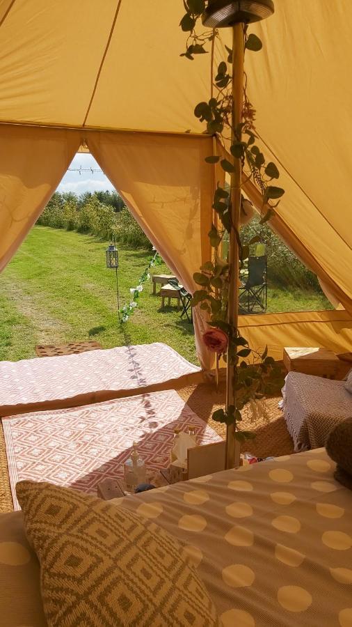 Hopgarden Glamping - Luxury 6M Bell Tent Wadhurst Εξωτερικό φωτογραφία