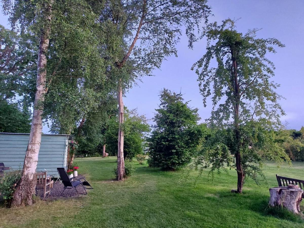 Hopgarden Glamping - Luxury 6M Bell Tent Wadhurst Εξωτερικό φωτογραφία