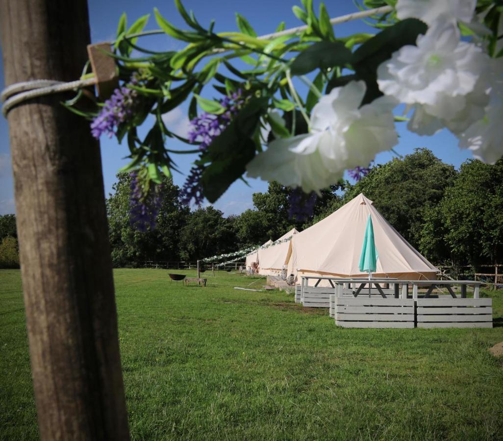Hopgarden Glamping - Luxury 6M Bell Tent Wadhurst Εξωτερικό φωτογραφία